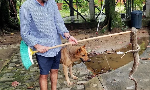 “If you can’t feed 100 people, then feed just one.”